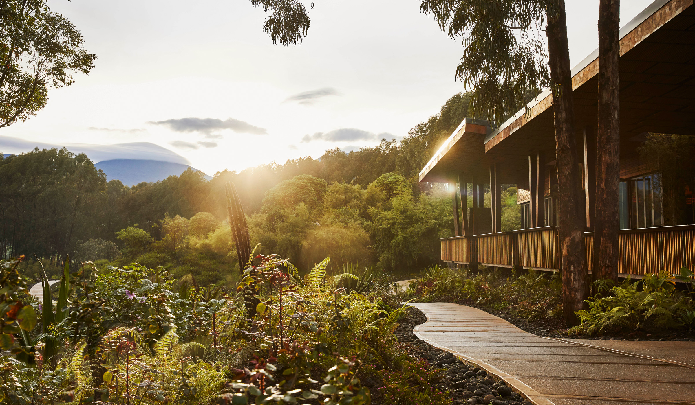 Krivaja Homes | One&Only Gorilla's Nest